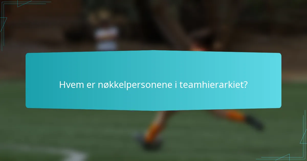 Hvem er nøkkelpersonene i teamhierarkiet?